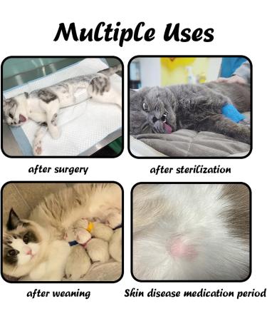 Clrybo Katzenbody | After Op Anti-Trim Cat Recovery Suit | Professional Surgical Suit for Cats & Dogs | Ideal for Abdominal Wounds & Skin Diseases - Buy Online on GoSupps.com