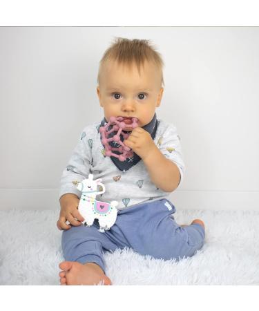 Bambiya Baby Teethers - Food-Grade Silicone Teething Toys for Infants 0-12 Months - 3-Pack Llama Ball and Pacifier Set - Buy Online on GoSupps.com
