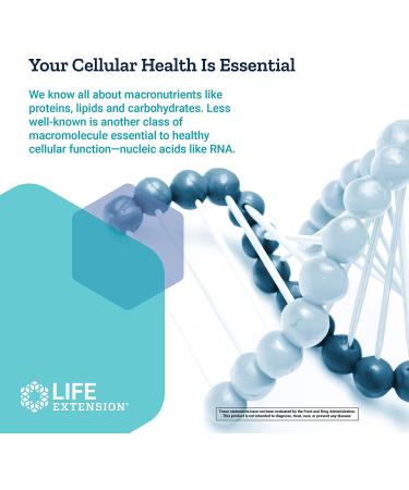 Life Extension RNA Capsules 500 mg - 100 Count | Boost Cellular Health - Buy Online on GoSupps.com