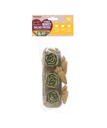 Boredom Breaker Veggie Burst Salad Patch Rabbit Treats & Small Animal Treats 200g