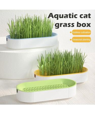 Cat Grass Set - Hydroculture Plant Container for Cats | Dirt-Free Odorless Anti-Grave Design & Easy Planting - Available in 3 Colors - Buy Online on GoSupps.com