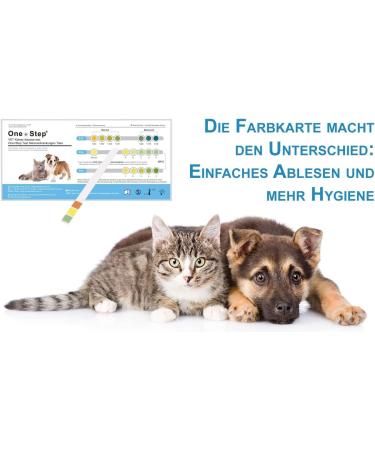One+Step Cat Health Test - Quick Urine Kidney Check at Home - 1 Piece for Pet Health - Buy Online on GoSupps.com