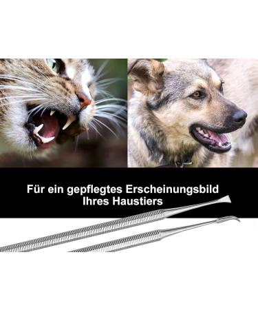 Buy Dog Tartar Remover Set - 2-Part Stainless Steel Tooth Cleaner for Pets | Effective Tartar Scraper & Specialist Retailer - Buy Online on GoSupps.com