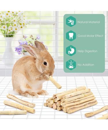 Bissap Sweet Bamboo Chew Sticks for Rabbits - Natural Molar Treats for Small Animals - Teeth Grinding Toys - 500g - Buy Online on GoSupps.com