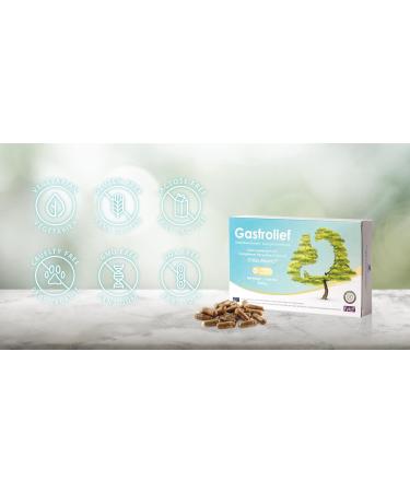 GASTROLIEF Advanced Digestive Support Anti-Reflux & Anti-Bloating | Natural Formula with Chios Putty Chamomile Ginger Fennel | Gluten Free | 40 Capsules - Buy Online on GoSupps.com