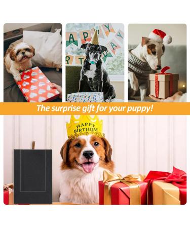 Shudyear Dog Nail Scratch Board File Wooden Dog Nail File Board with Built-in Snack Box Sandpaper Puppy Nail Grinding Pad Sturdy Dog Paws Scratchboard for Pets Nail Care - Buy Online on GoSupps.com