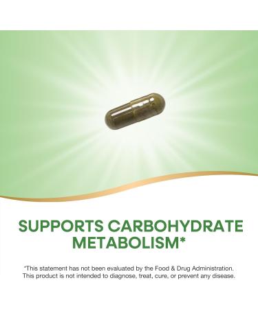 Nature's Way Gymnema Premium Extract Supports Carbohydrate Metabolism* 500 mg per Serving Non-GMO Project Verified 60 Vegan Capsules (Packaging May Vary) - Buy Online on GoSupps.com