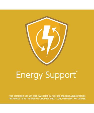 21st Century B-12 2500 mcg Sublingual Tablets - 110 Count for Energy & Vitality - Buy Online on GoSupps.com