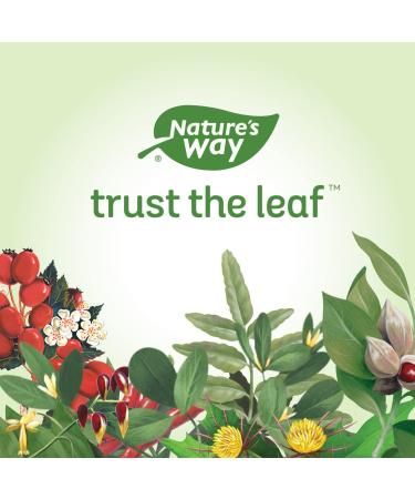 Nature's Way Cayenne Pepper 40 000 HU 450 mg per serving 100 Vegetarian Capsules ( 1 Pack) - Buy Online on GoSupps.com