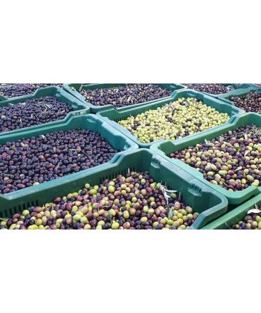 Extra virgin olive oil 500ml - Buy Online on GoSupps.com