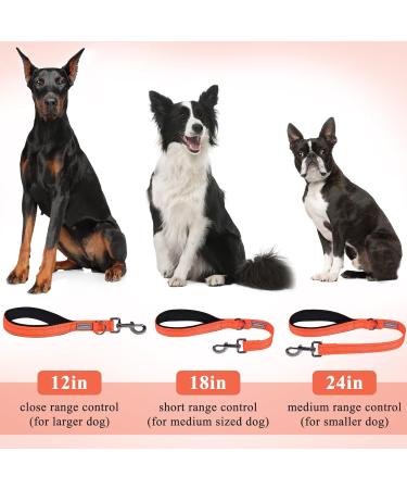 Vivaglory Short Dog Leash for Medium & Large Dogs - 61cm Traffic Leash | Orange Training Line - Buy Online on GoSupps.com