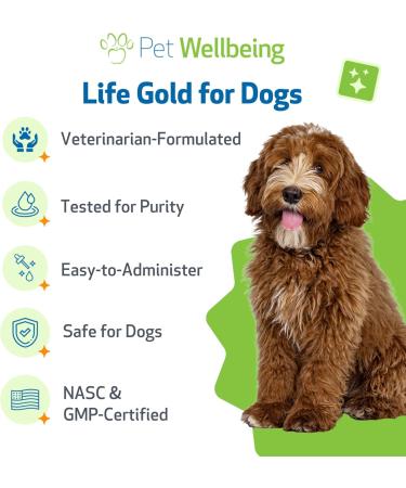Pet Wellbeing Life Gold for Dogs - Supports Detoxification & Immune System Health with Astragalus & Sheep Sorrel - NASC Certified & Vet-Formulated - 4 oz Liquid Formula 4 Fl Oz - Buy Online on GoSupps.com