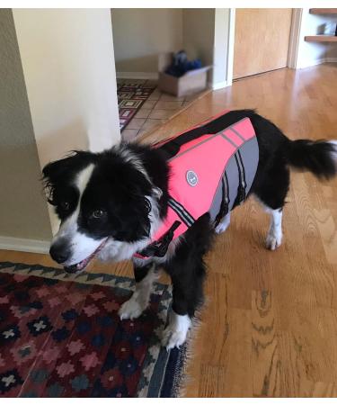 Vivaglory Sportstil Fluid Dog Life Jacket - Adjustable Durable Safe Buoyancy for Large Dogs (Neon Pink L: 66-79 cm) - Buy Online on GoSupps.com