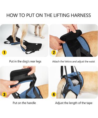 Buy Dotoner Dog Lifting Harness - Support for Injured Dogs | Soft Loop for Small to Large Breeds | Adjustable & Comfortable | Blue L Size - Buy Online on GoSupps.com