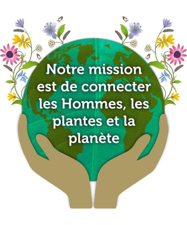 Pukka Nuit enchant e et Digestion et Miel de manuka Infusions Biologique et Ayurv dique 100% des Ingr dients Issus du Commerce quitable Lot de 12x20 sachets 80 Sachets - Buy Online on GoSupps.com