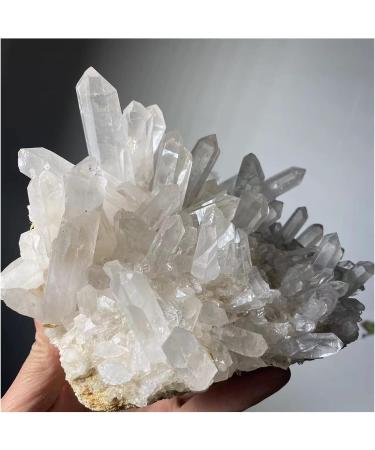 1pc Natural Rare White Quartz Crystal Cluster Specimen Decoration (Size : 80-100g) - Buy Online on GoSupps.com