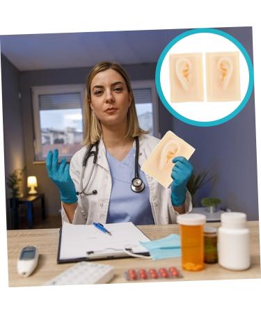 Beavorty Ear Presentation Model - Silicone Ear Mold for Hearing Aid Display & Teaching - International Shipping Available - Buy Online on GoSupps.com