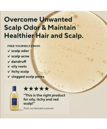AROMATICA Plant-Based Vegan Shampoo Collection - Rosemary Tea Tree Quinoa - Sulfate, Silicone, and Paraben-Free - Trial Set - Buy Online on GoSupps.com