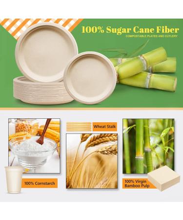 Gezond 250pcs Compostable Paper Plates Set Eco-Friendly Heavy-Duty Disposable Paper Plates Cutlery -Biodegradable Plates Forks Knives Spoons Cups Straws and Paper Napkins 25 Guests 250pcs Plates Set - Buy Online on GoSupps.com