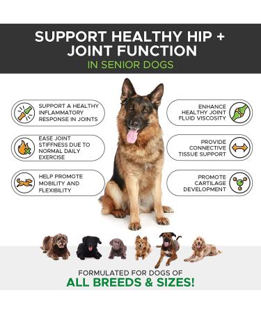 PetHonesty Senior Hemp Mobility Supplement for Senior Dogs - 90 Count - Hemp Oil, Glucosamine, Collagen, MSM, Green Lipped Mussel - Supports Mobility & Comfort - Buy Online on GoSupps.com