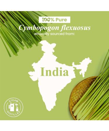 Handcraft Blends Earthy Citrus Set: Cedarwood and Lemongrass Essential Oils (2 x 4 Fl Oz) 100% Pure & Natural for Diffuser Aromatherapy and DIY Projects - Buy Online on GoSupps.com