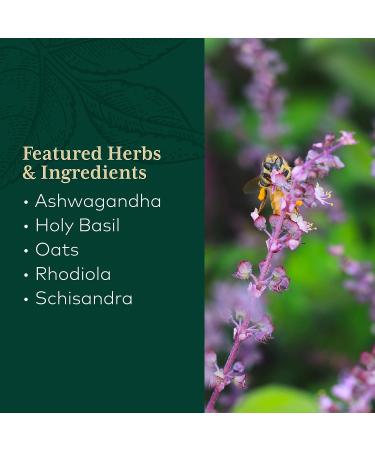 Gaia PRO Daytime HPA - Adaptogen & Nervine Supplement for Stress & Adrenal Health - Ashwagandha, Organic Holy Basil, Oats, Rhodiola & Schisandra - 60 Vegan Liquid Phyto-Capsules - Buy Online on GoSupps.com