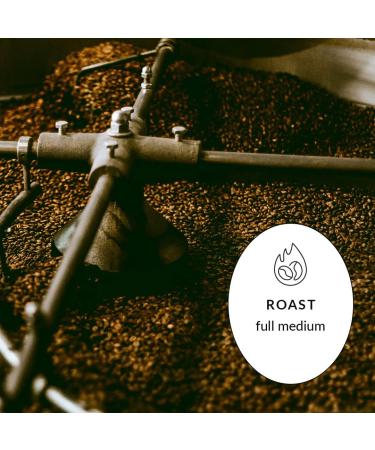 Bridgehead Coffee-Centro House | Full Medium Roast Coffee | Ground Coffee | 340 g - 12 oz pack | Organic | Fairtrade | Sustainable | proudly Canadian Centro House 340 g (Pack of 1) - Buy Online on GoSupps.com