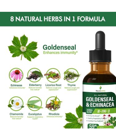 Goldenseal & Echinacea Drops for Immunity Boost Healthy Respiratory Function Herbal Supplements with Elderberry Licorice Root Thyme Chamomile Extract. 2oz Original 2 Fl Oz (Pack of 1) - Buy Online on GoSupps.com