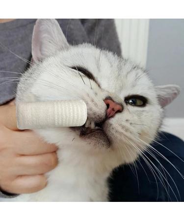 REMEK Teeth for Dogs | Brush Kit Teeth for Dogs 10 Pieces | Teeth for Dogs and Cats Professional Teeth for Dogs and Teeth - Buy Online on GoSupps.com