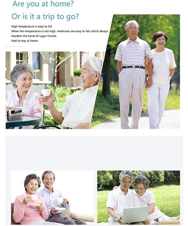 Portable Insulin Cooler Fridge Insulin Cooler Mini Fridge Portable Insulin Refrigerated Box Rechargeable 2-8 Adjustable-A - Buy Online on GoSupps.com