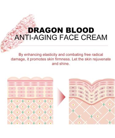  MEITREND Dragon's Blood Cream Dragon Blood Cream Dragon Blood Cream Dragon's Blood Easy Cream Anti-aging cream for women Dragon's Blood anti-wrinkle face cream for radiant skin and - Buy Online on GoSupps.com