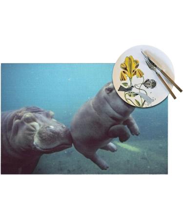 Baby Hippos Slip and Water Resistant PVC Woven Placemats | High Temperature Resistant - Buy Online on GoSupps.com