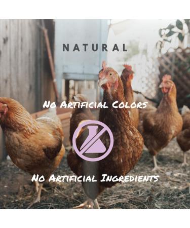 Non-GMO Manna Pro 7-Grain Chicken Scratch - 10 lbs Natural Bird Treat - Buy Online on GoSupps.com