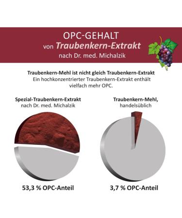 OPC Dr. med. Michalzik Premium Grape Seed Extract - 600mg Daily Dose | 320mg OPC & 100mg Vitamin C | Additive-Free | Biotikon  - Buy Online on GoSupps.com