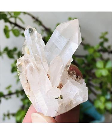 1PC Natural Clear Crystal Cluster Crystal Cluster (Size : 250-300g) - Buy Online on GoSupps.com