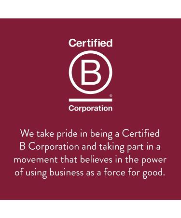 Stash Tea Fall for Autumn Sampler - 6 Flavor Tea Variety Pack with 120 Tea Bags - Buy Online on GoSupps.com