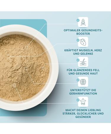 Dr. Sam Health Powder for Cats - Natural Dietary Supplement for Joints Gut Stress & Skin Care - Wondercat 45g - Buy Online on GoSupps.com