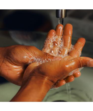 Oars + Alps Hydrating Liquid Hand Soap, Made with Coconut Oil & Aloe Vera to Moisturize Dry Hands, Gentle Hand Wash with Vitamin E, Cruelty Free, Paraben Free, California Coast Scent, 10oz - Buy Online on GoSupps.com