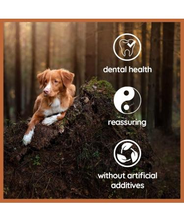 Wildfang Coffee Wood Dogs | Durable 100% Natural Chewing Root for Small Breeds (XXS) - Safe & Splinter-Free Chew Toy for Dogs & Puppies Up to 5 kg - Buy Online on GoSupps.com