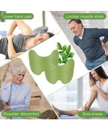 Fengq 60-Piece Pain Relief Patch | Heat Therapy for Knee Back Neck & Muscle Pain Relief - Buy Online on GoSupps.com