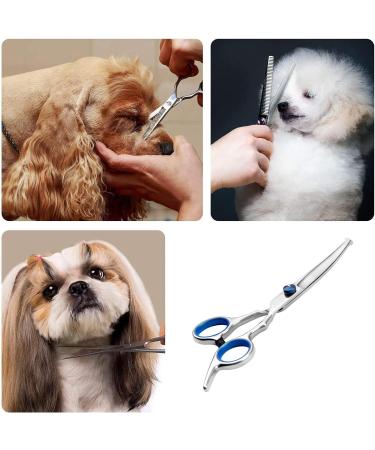 Dog Grooming Scissors Grooming Products for Dogs Pets Beauty Tool UK Accessories for Cleaning Puppy or Cat or Horse Face Professional Trimming Supplies Metal Curved Hair Rounded Top Thinning Shears - Buy Online on GoSupps.com