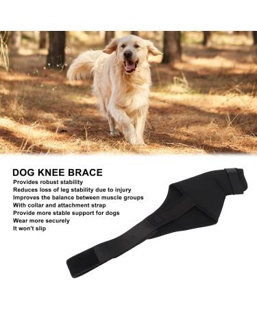 Dog Knee Brace for Hind and Rear Leg Knee Brace for Dog Support for Dog ACL CCL Cruciate Ligament Injury Joint Pain and Muscle Sore(XL/Right) - Buy Online on GoSupps.com