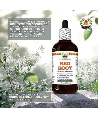 Hawaii Pharm Red Root Alcohol-Free Extract Glycerite for Heart and Lymphatic Wellness Promotes Digestive Comfort Aids Detoxification Supports Gut Balance and Nutrient Absorption - 2 fl.oz 2 Fl Oz (Pack of 1) - Buy Online on GoSupps.com