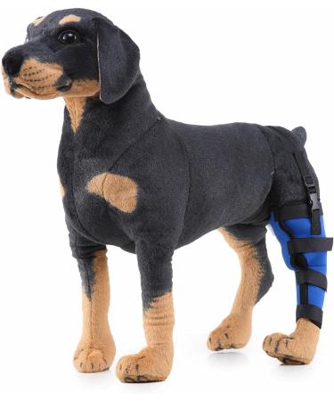 Dog Braces for Back Legs Super Supportive Brace Pet Dog Double Hind Leg Brace Support Belt for Heals Prevents Injuries Sprains Protects Wounds. A Small - Buy Online on GoSupps.com