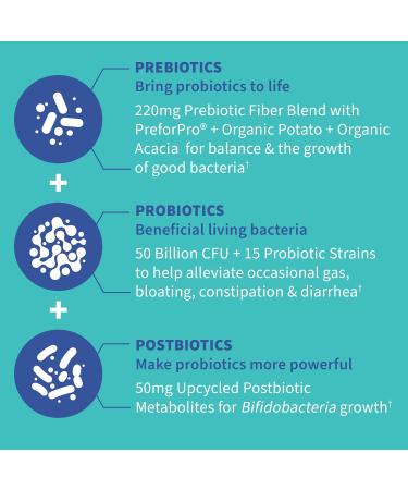 Garden of Life Dr Formulated Once Daily 3-in-1 Complete Prebiotics Postbiotics & Probiotics & Organics Multivitamin for Men - Men's Once Daily Whole Food Vitamin Supplement Tablet - Buy Online on GoSupps.com
