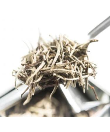 Dilmah t-Series VSRT Ceylon Silver Tips White Tea Tin Caddy - 40g - Buy Online on GoSupps.com