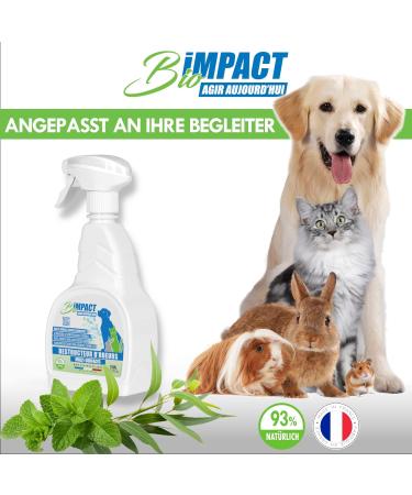 BioIMPACT ORMANT ROMBERS - Odor Neutralizers for Dog & Cat Urine - 2x750ml - Effective Surface Cleaner - Buy Online on GoSupps.com
