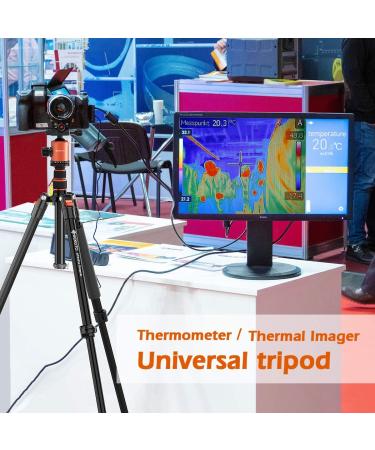 GEEKOTO 77'' DSLR Camera Tripod with 360 Ball Head - Lightweight & Durable - Buy Online on GoSupps.com