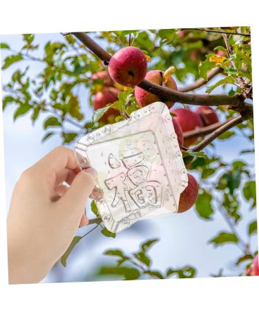 OFFSCH Apples Growth Mold 2pcs Square Apple Molds Fruit Growth Shaping Accessories Fruit Mold Fruit Shaper Melon Stereotypes - Buy Online on GoSupps.com