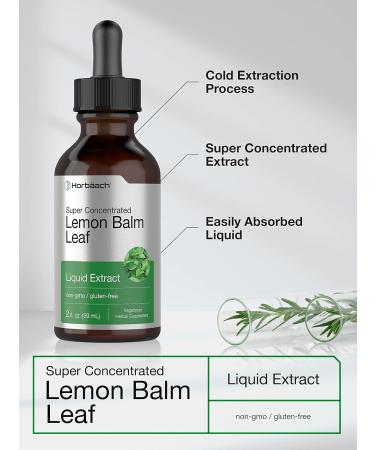 Horb ach Lemon Balm Tincture | 2 fl oz | Melissa Officinalis Leaf | Vegetarian Liquid Extract | Non-GMO Gluten Free Supplement - Buy Online on GoSupps.com